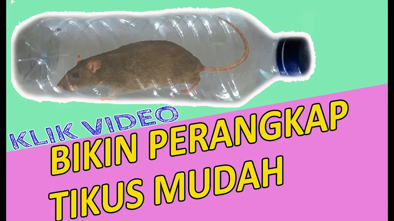 Dikira Sarang Tikus, Saat Genting di Buka, Astaga!! Ternyata Ribuan Makhluk Aneh ini... 