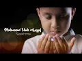 Download Lagu Muhammad Hadi Assegaf - Syaikhona (Official Lyric Video)