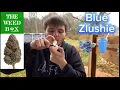 Blue Zlushie Strain Review from TWB - Really Good Strain Nice Flavor