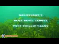 Melbourne SCUBA Diving at Blue Devil Ledges in Port Phillip Heads by www.NetBookings.com.au