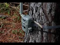 Spy Point Flex Issues defects Watch Before you Buy
