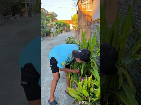 Kenapa udin lari ya??