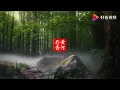 降央卓玛演唱的歌曲《一剪梅》超好听 百听不厌！