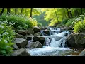 Download Lagu Relaxing Music Relieves Stress, Relaxing Music and Water Sounds 🌿 Soothing Music for Relaxing