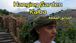 كلباء مع سي لزرق / الحدائق المعلقة / بحيرة الحفية /  Hanging Gardens Kalba / Al Hefaiyah Lake