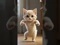 Gatito bailando. #gatos