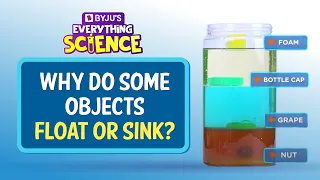 Why Do Objects Float Or Sink BYJU S Everything Science Shorts 