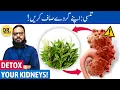Apne Gurdon Ko Saaf Karen! Natural Kidney Cleanse with Holy Basil/Tulsi - Urdu/Hindi - Dr. Ibrahim