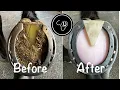 Download Lagu Full horse hoof restoration