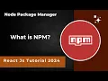 What is NPM NPM tutorial Node Package Manager React JS tutorial in Hindi 2024