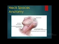 Download Lagu ENT lecture 4th year 26-3-2020 Anatomy of Neck spaces