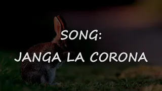 janga la corona lyrics by salome wairimu