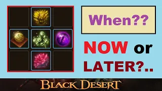 NOW or LATER When to Go for the Infinite HP Potion Why Black Desert Online