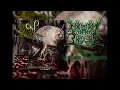 Download Lagu Defenestrated Treachery - Laceration Commandments [Slamming Brutal Death Metal]