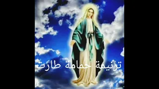 ترنيمة حمامة طارت دندنها