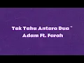 Download Lagu Tak Tahu Antara Dua by Adam ft. Farah