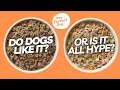 Every Recipe of The Farmer s Dog Reviewed See How It Actually Looks