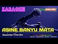 Download Lagu ASINE BANYU MATA -Ochol Dhut- KARAOKE