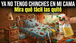¡Cuidado! Si Tienes CHINCHES en Casa Ponles Esto Ahora Mismo para Eliminarlas