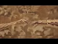 Danya devs ft Mawelele - Ola sbali (official audio)