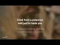 Ellie Goulding - For Your Entertainment (Lyrics)