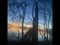 broken branches (feat. The Lost Kansas Instrumentals)