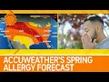 AccuWeather s 2025 Spring Allergy Forecast