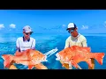 How We Found 3 New Red Emperor Rocks In One Day Great Barrier Reef