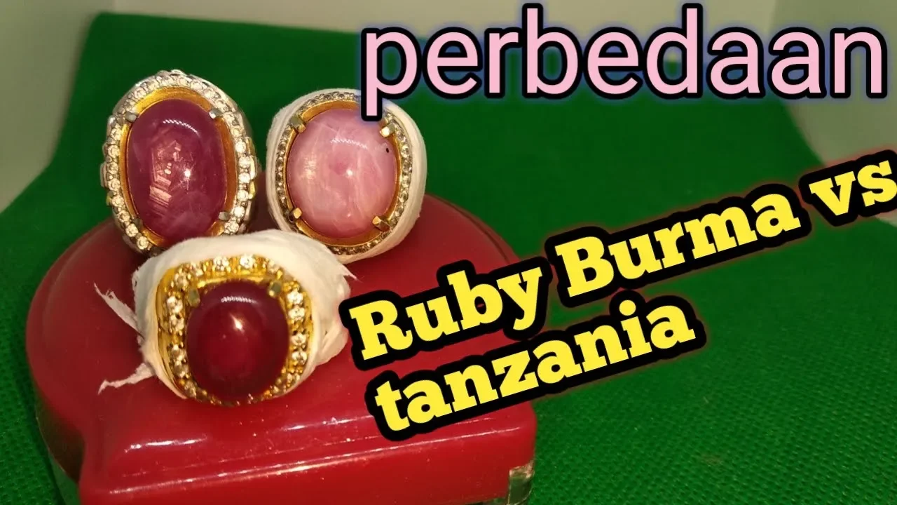 Blood Pigeon dan Ruby jhonson Dimensi mini Namun tetap Elegan Merah Rubi daging  kelas minion mantap