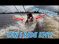 Human Surfboards BroSkis - I ve got 2 brothers and I tried to ski em