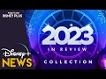 Disney Adds 2023 In Review Collection Disney Plus News