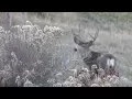 Day 2 - Oregon Premium Deer Tag