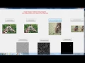 IEEE 2015 MATLAB IMAGE FORGERY DETECTION USING ADAPTIVE OVER SEGMENTATION AND FEATURE POINT MATCHING