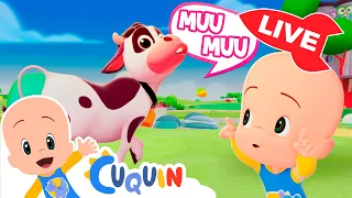 🔴 AO VIVO! 🔴 Musicas infantis com Cleo e Cuquin! Hora de cantar e brincar