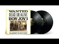 Bon Jovi - Wanted Dead Or Alive (High-Res Audio) Flac 24bit