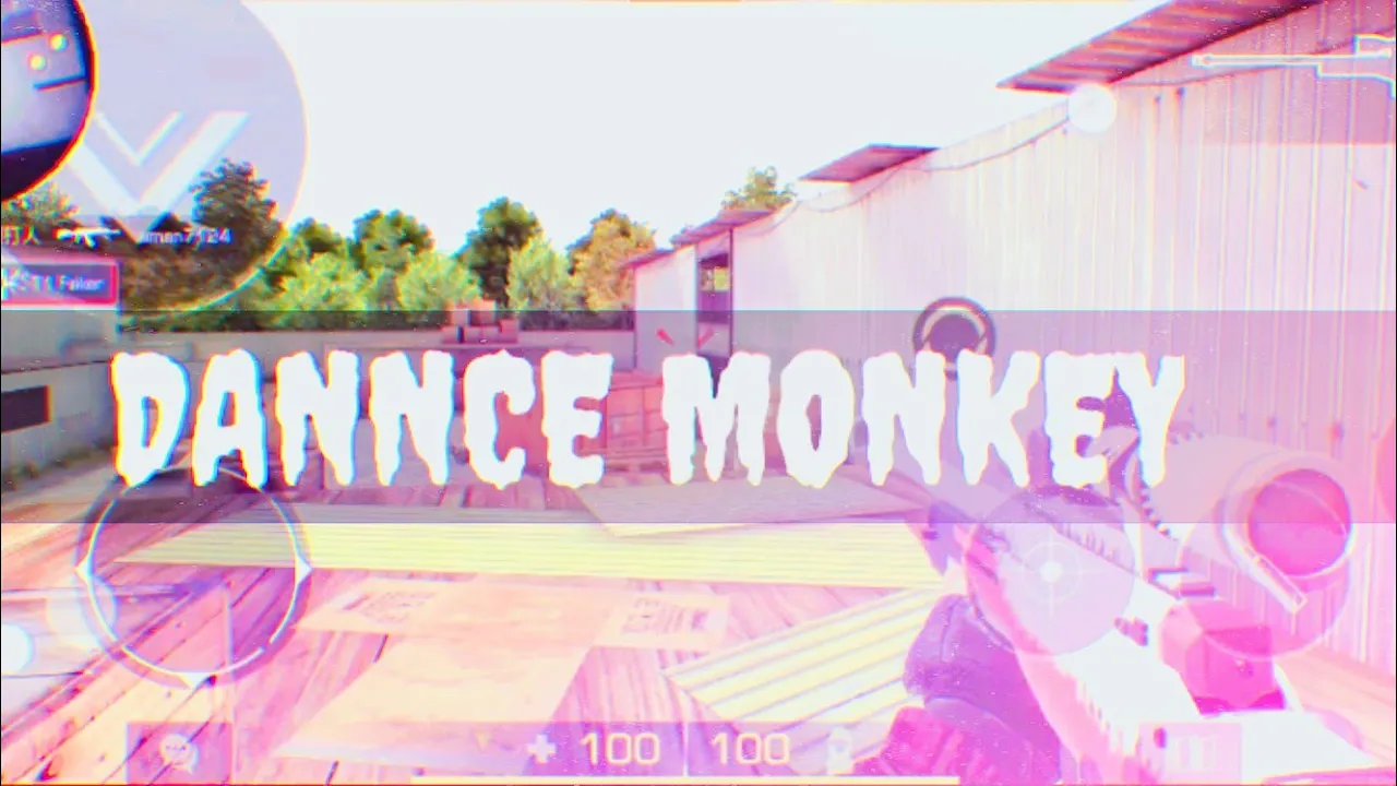 DANNCE MONKEY
