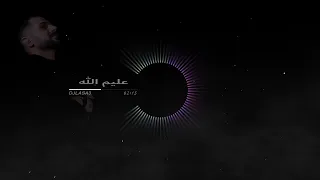                     ريمكس عليم الله دندنها