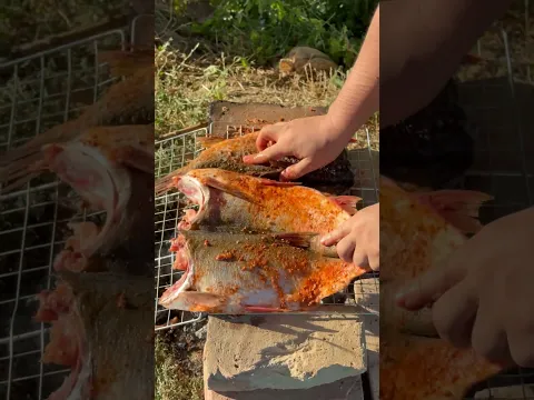 #rek #food