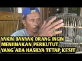Download Lagu Sangat mudah menjinakan burung perkutut lokal