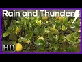 Lagu ►10 uur regen geluiden. Real regen en onweer geluiden. Rain video voor het slapen.