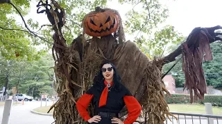 SLEEPY HOLLOW HALLOWEEN TIME Witches Vampires Pumpkin Carving