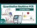 qPCR details quantitative real time PCR RT PCR Biotechniques