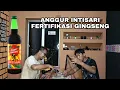 Download Lagu REVIEW MINUMAN WINE ANGGUR GINGSENG INTISARI CAP ORANG TUA DARI INDONESIA