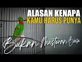 Download Lagu banyak yang tidak faham ini alasannya kenapa kamu harus punya