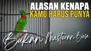 Download banyak yang tidak faham ini alasannya kenapa kamu harus punya MP3