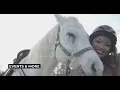 Horseback Riding in Houston Texas at Cypress Trails Ranch
