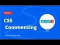 CSS Commenting