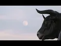 Pat Green - Don't Break My Heart Again LIVE*