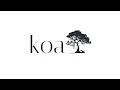 Koa js Explained