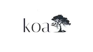 Koa js Explained